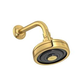 Chuveiro com Tubo Standard de Parede Acqua Plus Gold