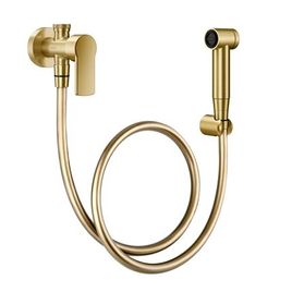 Ducha Higiênica com Registro e Derivação Argon Ouro Escovado