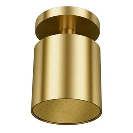 Chuveiro de Teto Mix & Match Ouro Escovado