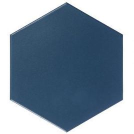 Revestimento Hexagonal 22,3X22,3 Nave Acetinado - OM15677 (Caixa 1,03M²)