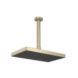 Chuveiro de Teto Retangular Com Tubo Flex Max Summer Gold