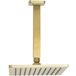 Chuveiro com Tubo de Teto  Rainbow Brushed Gold