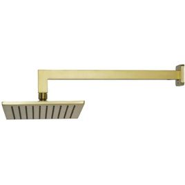 Chuveiro com Tubo de Parede  Rainbow Brushed Gold