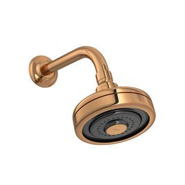 Chuveiro com Tubo Standard de Parede Acqua Plus Red Gold